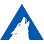 Arctic Wolf