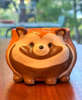 Our tanuki mug