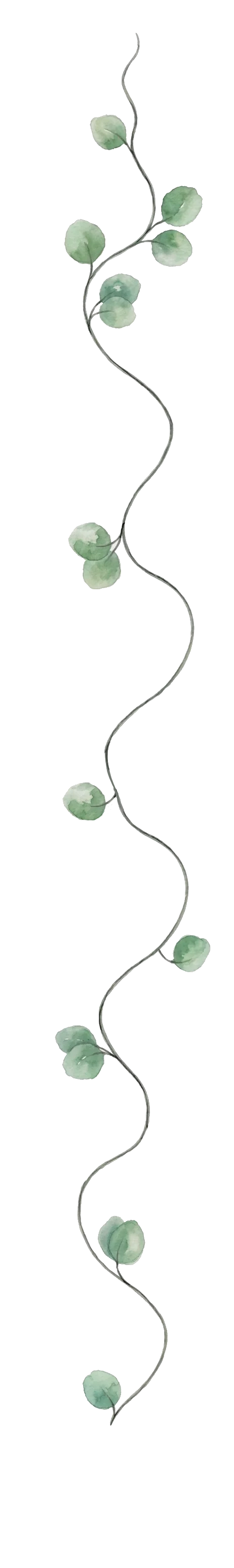 Decorative vine